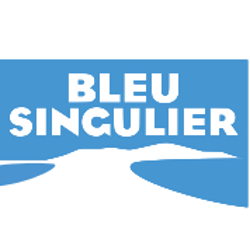 Bleu Singulier agence digitale Sète